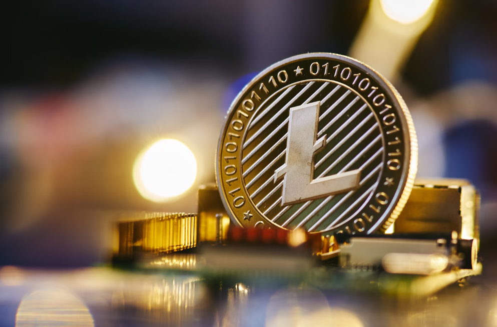 火币网莱特币(火特币app下载)