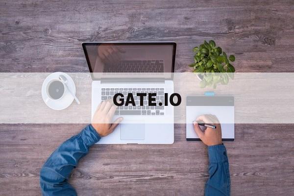 GATE.IO(gateio交易平台下载手机版官方app热门交易所地址cc)